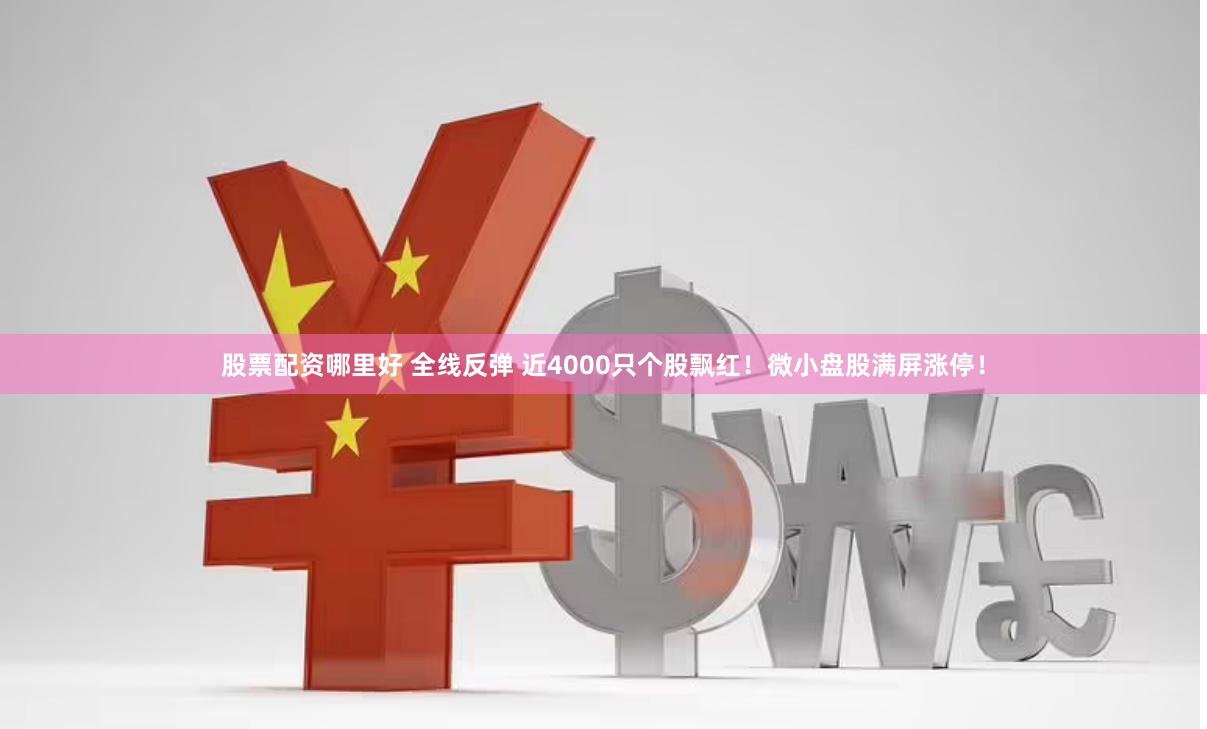 股票配资哪里好 全线反弹 近4000只个股飘红！微小盘股满屏涨停！