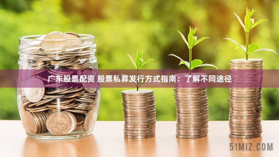 广东股票配资 股票私募发行方式指南：了解不同途径