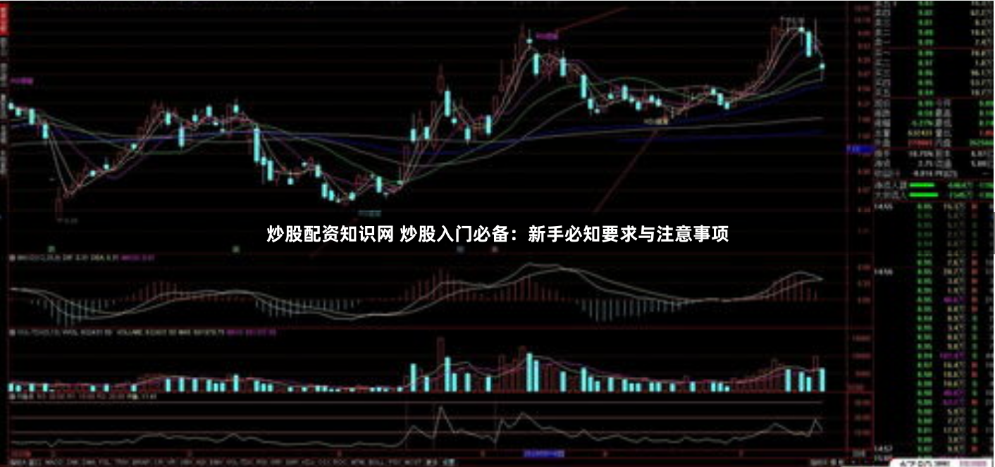 炒股配资知识网 炒股入门必备：新手必知要求与注意事项